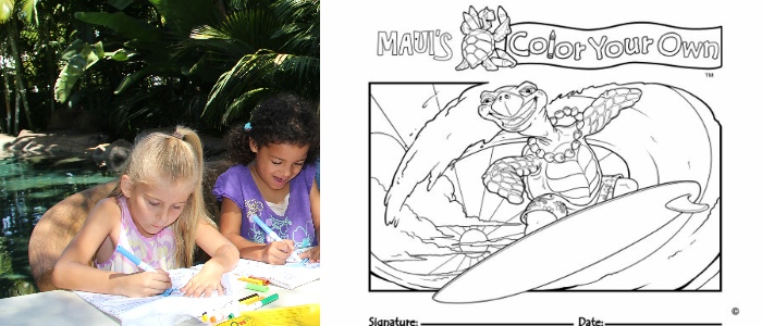Color Your Own Hawaii Themed Kids T-Shirts