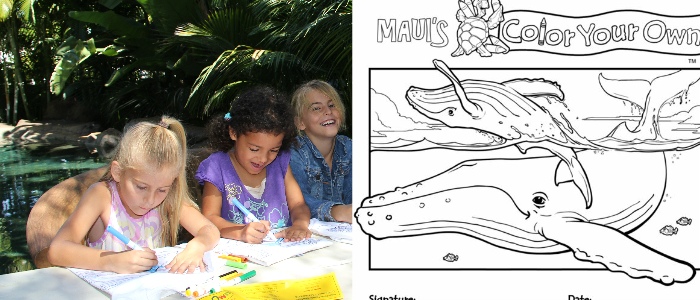 Color Your Own Hawaii Themed Kids T-Shirts